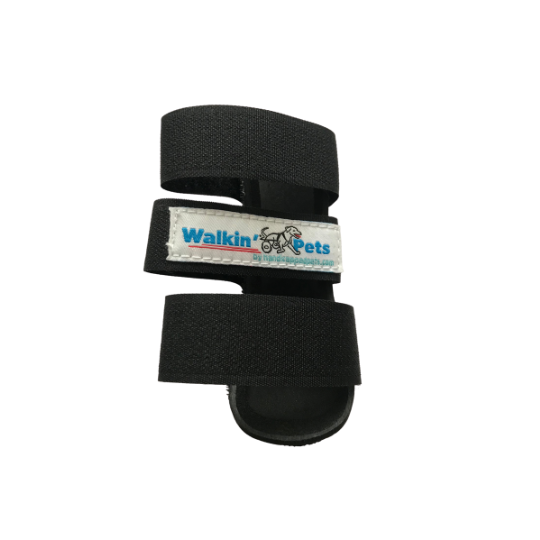 feline front leg splint