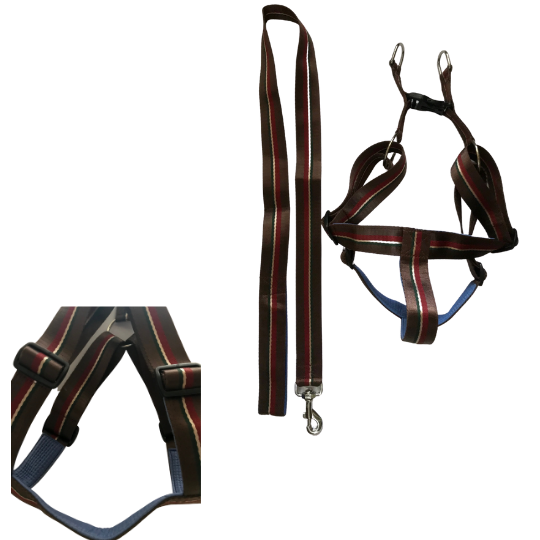body belt for dogs