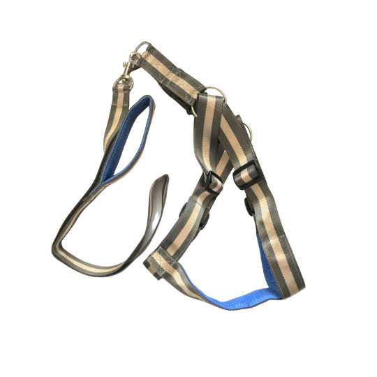 heavy duty leash and harness
