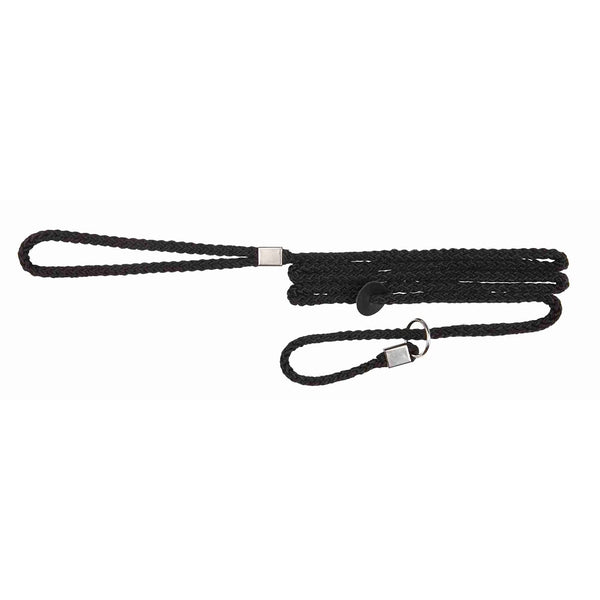 dog show leash