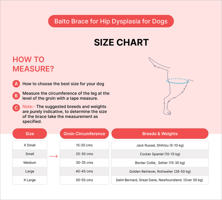 hip dysplasia brace for dogs 
