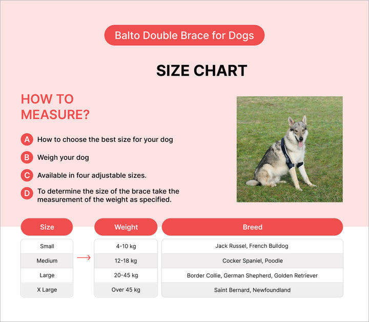 Balto double elbow support India 