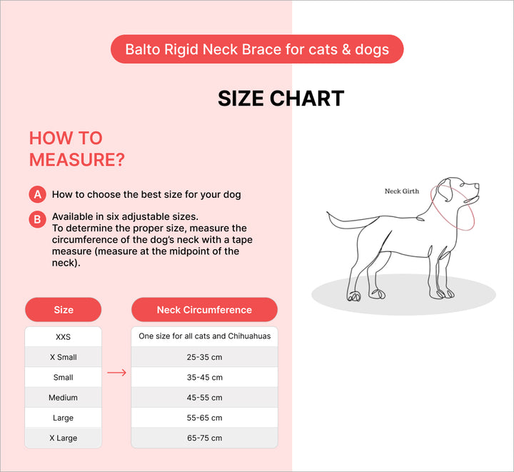 rigid neck brace for spondylitis in dogs  