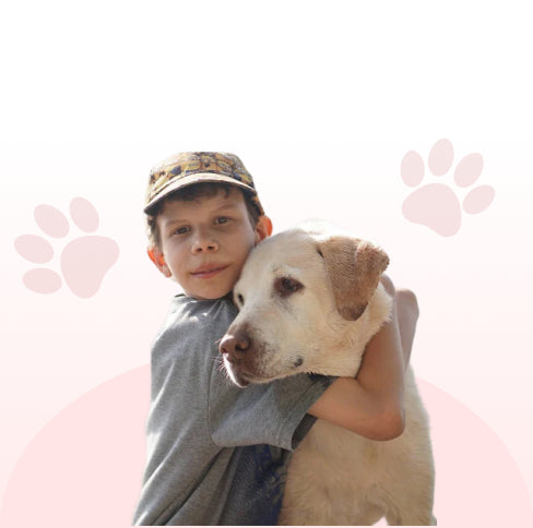 dog directory