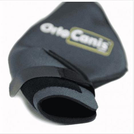 dog knee brace