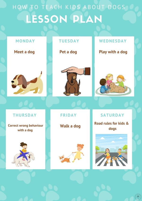 teach about dogs online