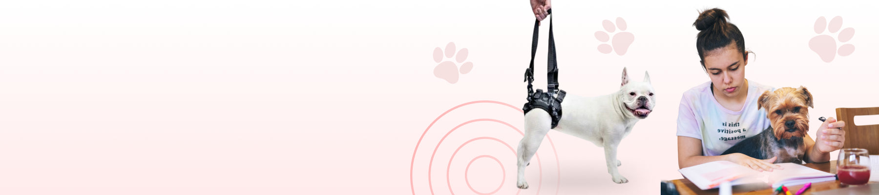 pet parent education