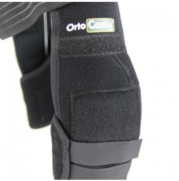 elbow pads for dogs India