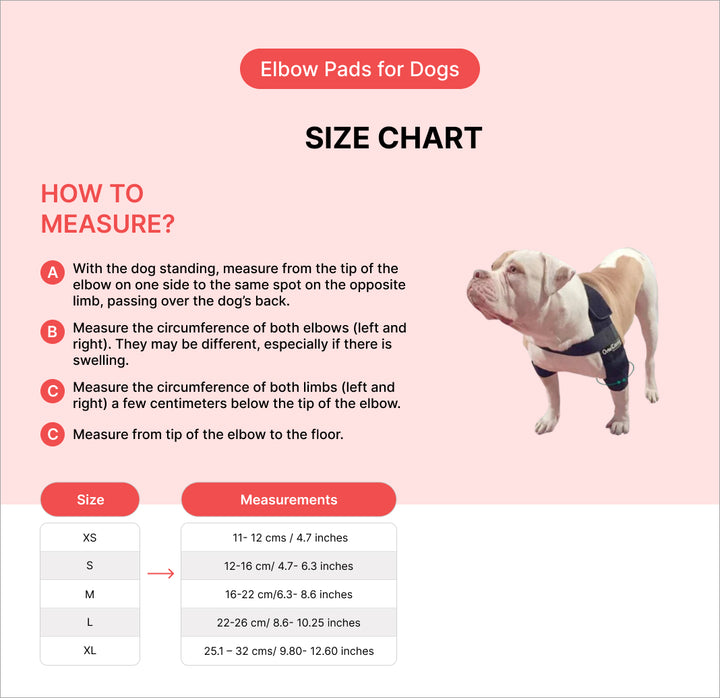 Size chart for dog elbow pads with a measurement guide and a dog wearing the pads.