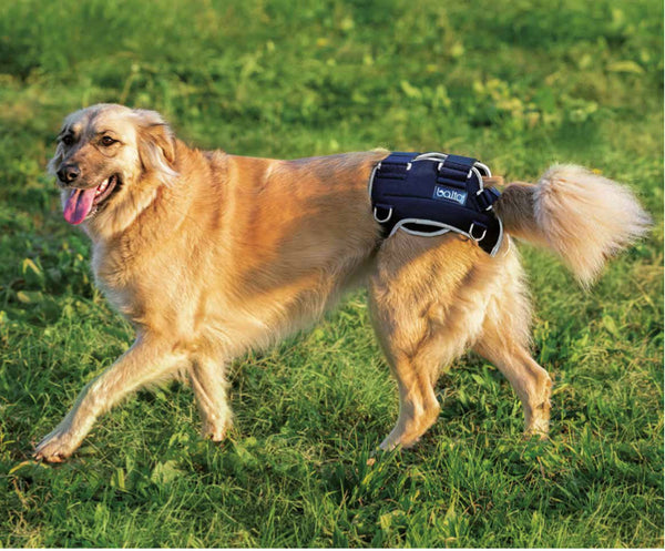 aid for hip disorder