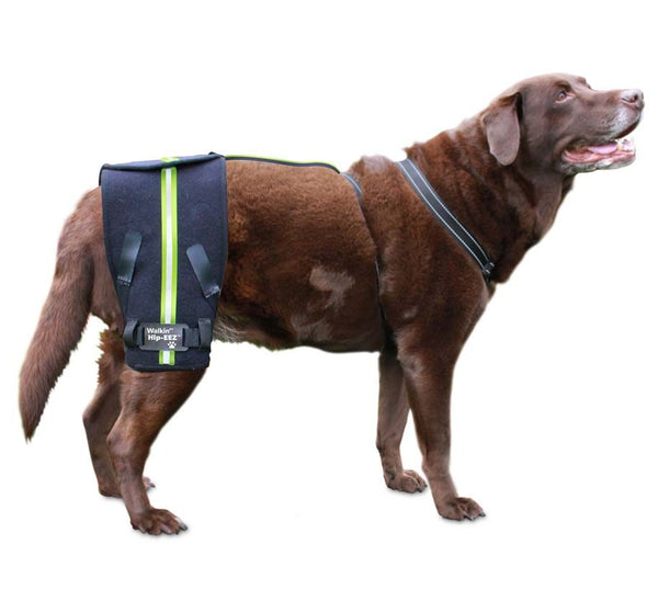 dog hip support
