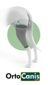 dog knee support