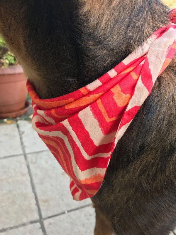 dog twinning bandana