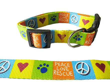 Rescue Dog online in Mumbai