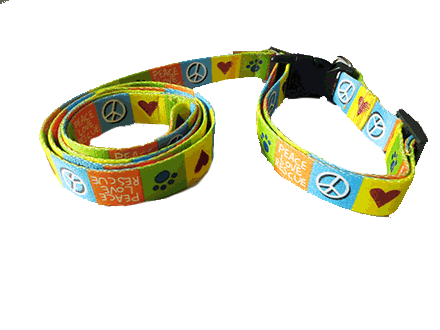 Collars and leashes for streetie dogs