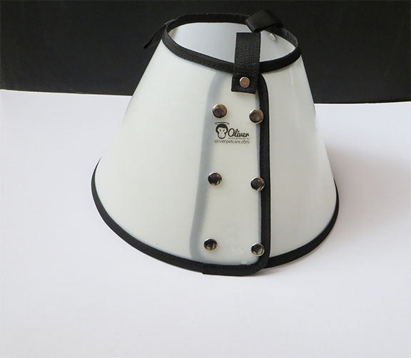 dog e collar cone detail