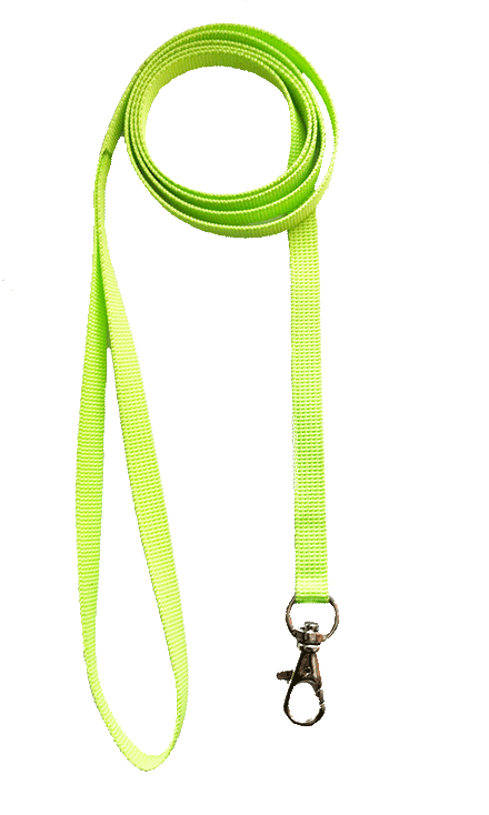 cat leash online Mumbai