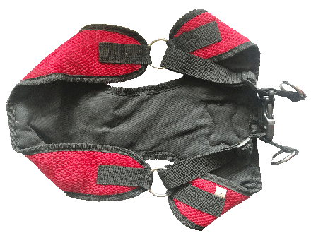 dog harness measure