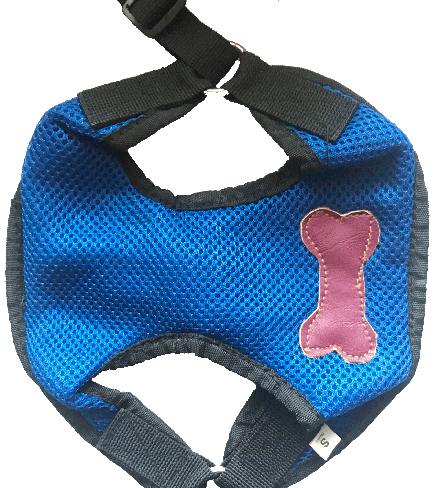 dog harness mesh online