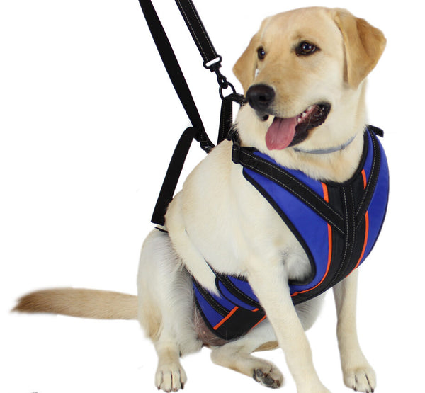 dog body harness