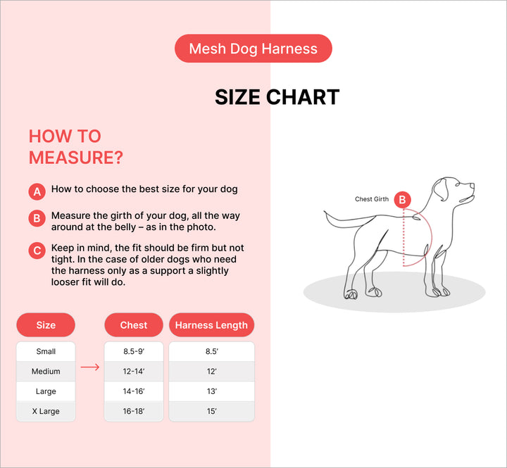 front mesh harness for medium dogs