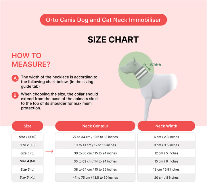 cervical  support for dogs
