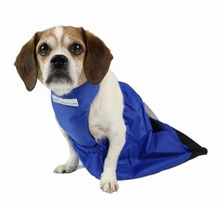 bag for paralysed pets
