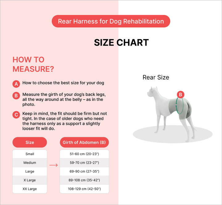 Rear Harness for Dog rehabilitation
