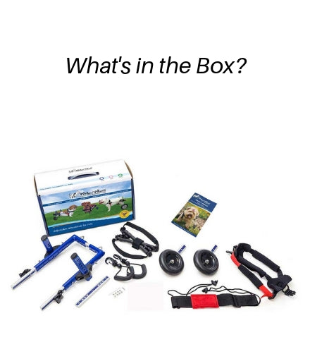 wheelchair kit in India