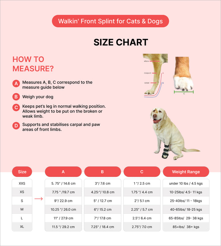 ready to use splint for dogs