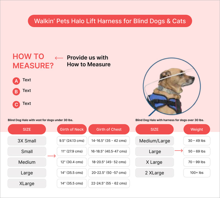 Blind dog walking aid