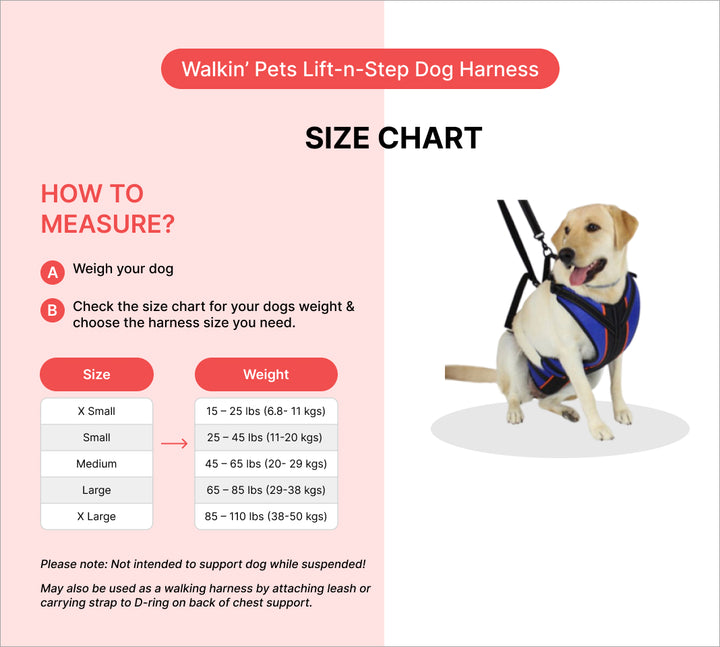 Full body walking dog harness
