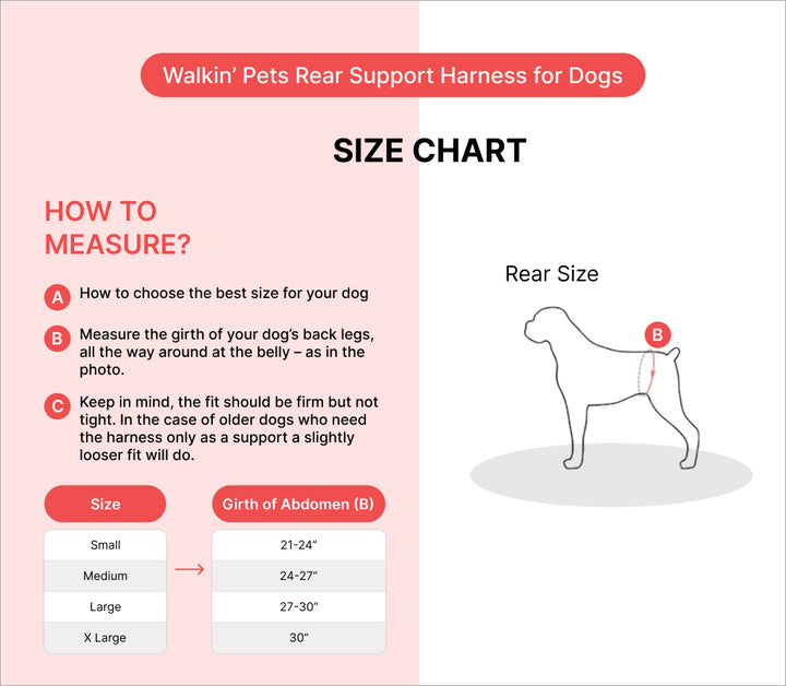 hind leg support for senior dogs