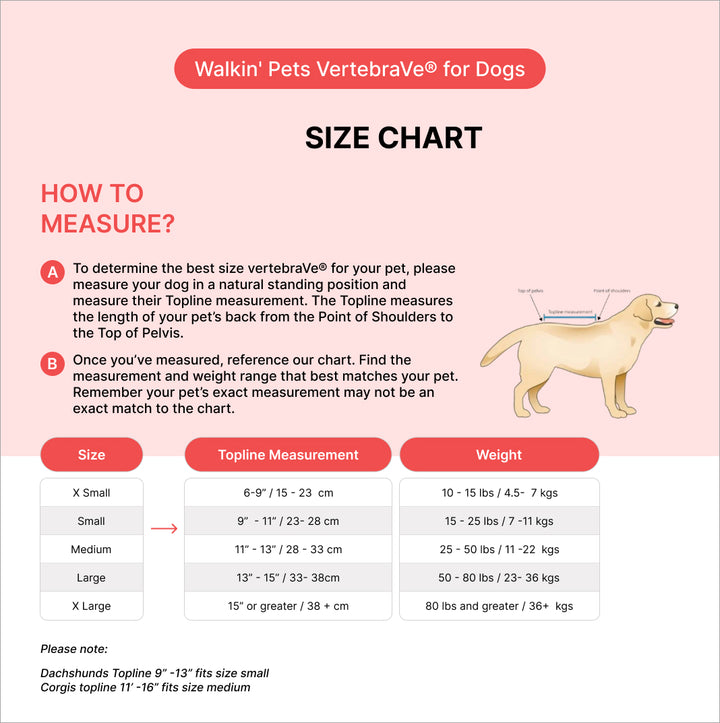 Spinal support for dogs