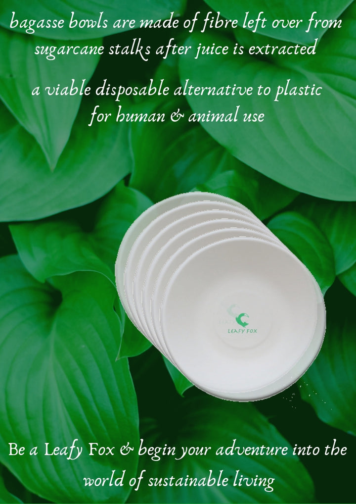 environment friendly bowls