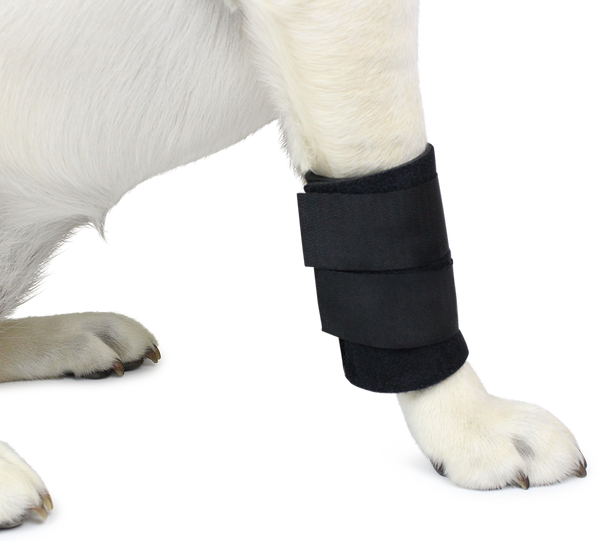 neoprene dog wrist wrap