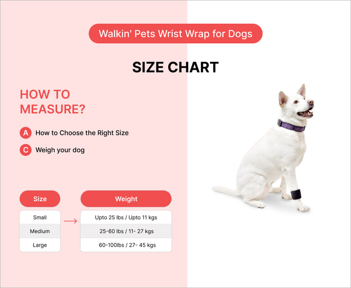 wrist support for dogs