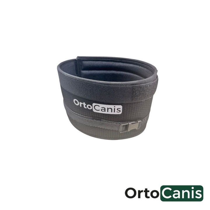 e collar alternative for dogs