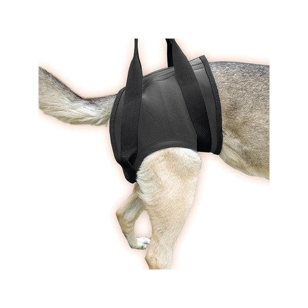 senior rear dog lift