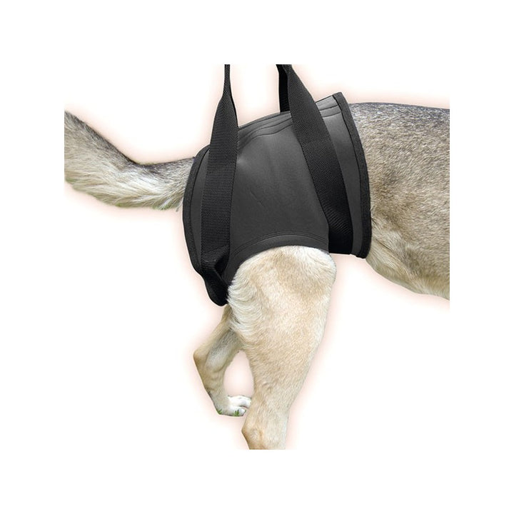 senior rear dog lift