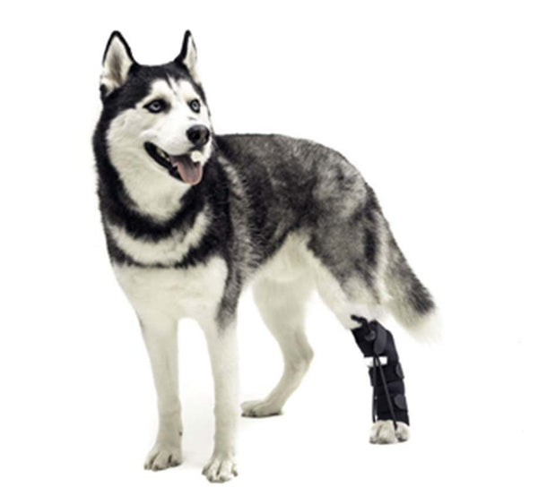 husky dog knuckle sock