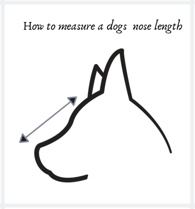 e collar measure guide