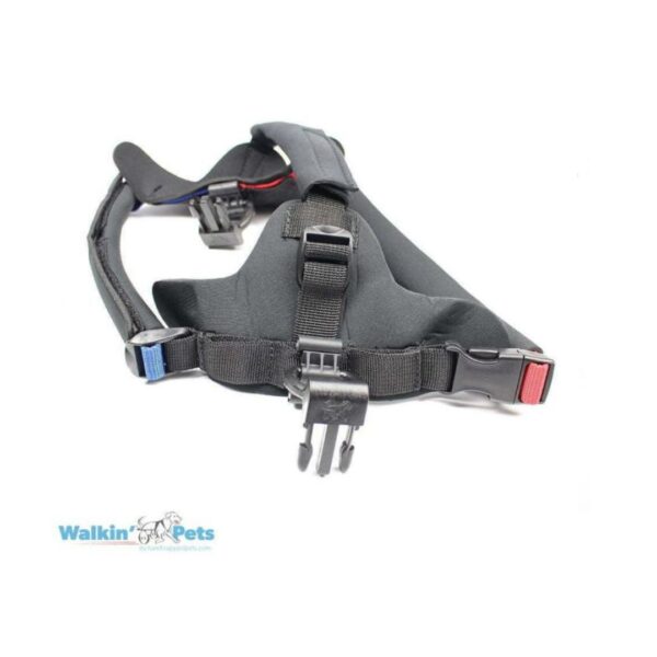 Gray dog harness with adjustable straps on a white background, branded 'Walkin' Pet'.