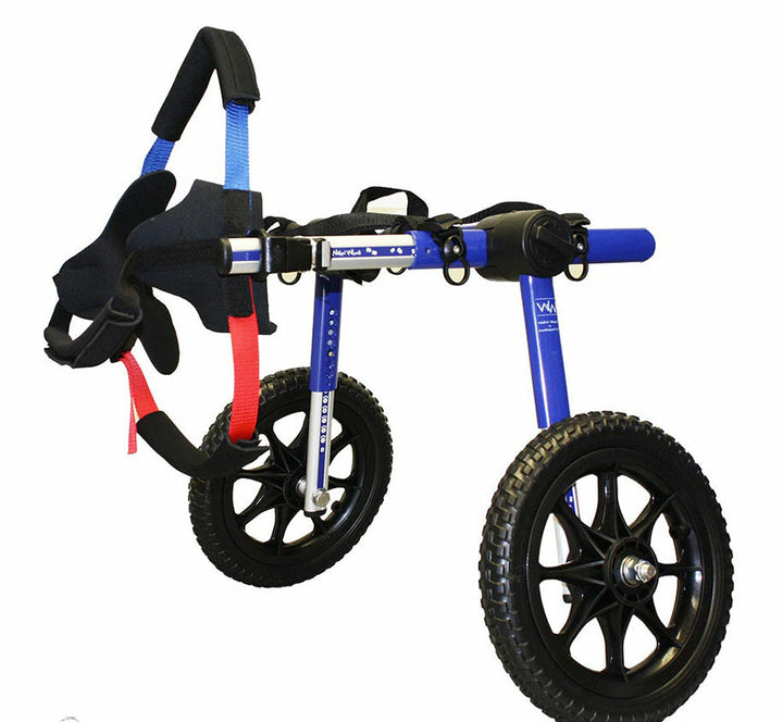 wheel cart for injured dogs