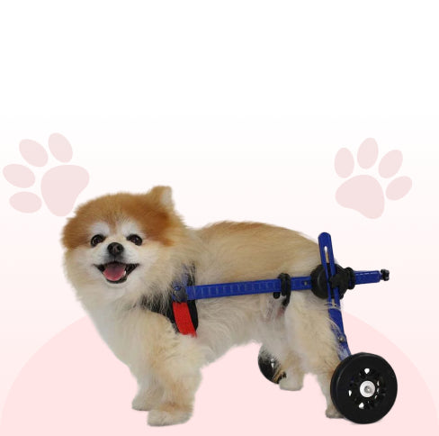 mini wheelchairs for dogs