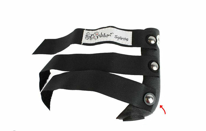 dog splint in India