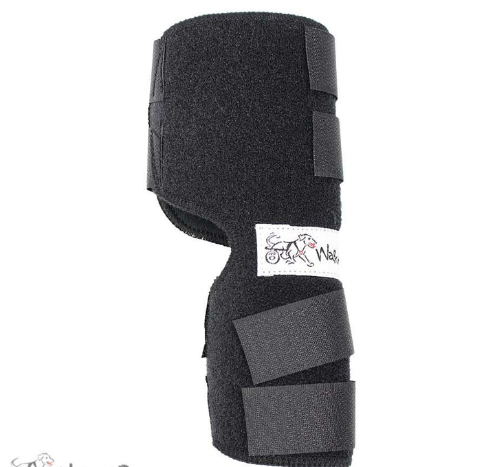 neoprene hock wrap for dogs