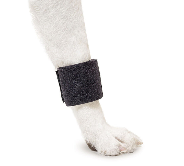 dog forearm stabiliser