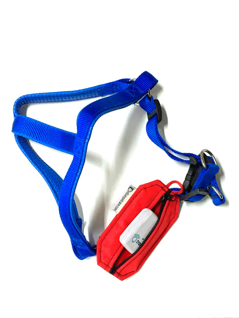 dog harness and pouch