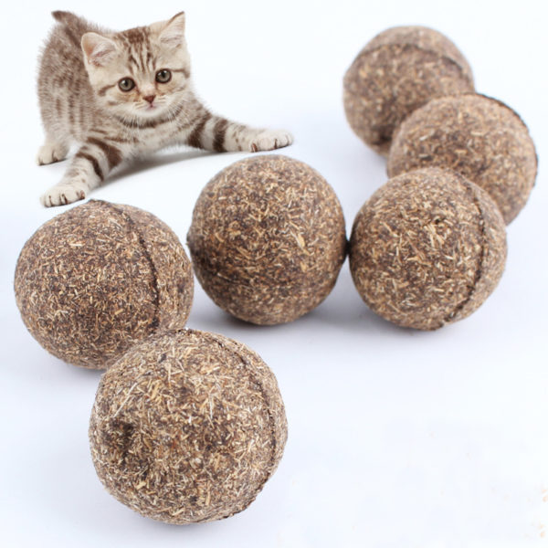 cat toys India